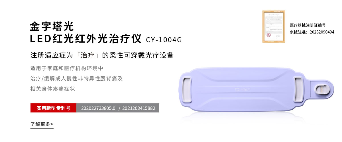 LED红光红外光治疗仪CY1004G
